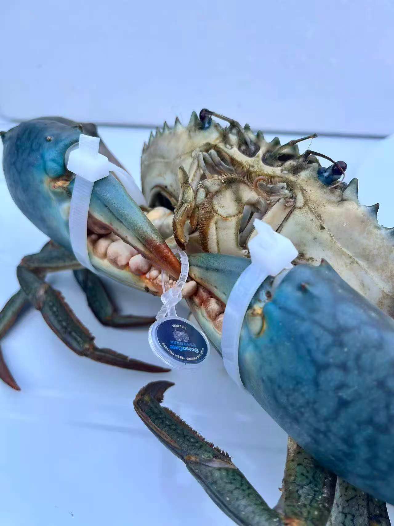 专业包装1